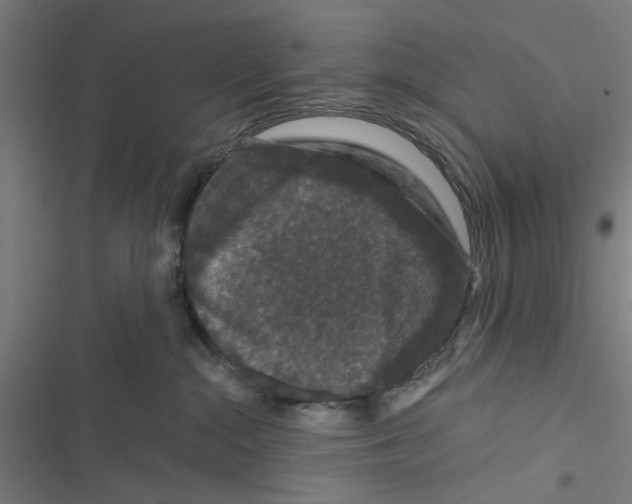 X0000116870284201001191729