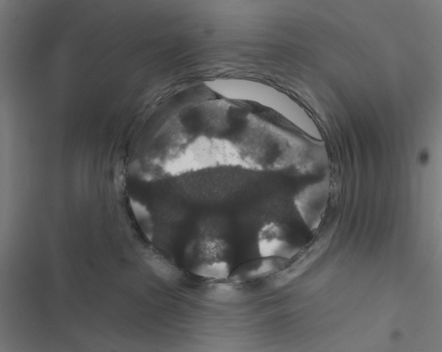 X0000116870285201001191729
