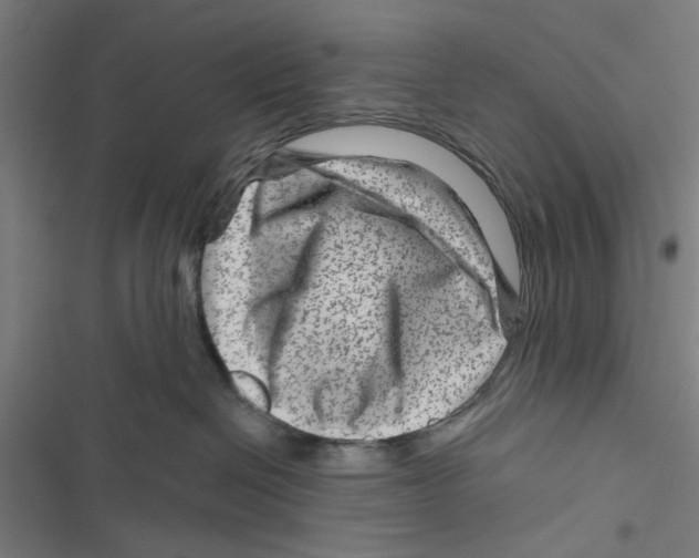 X0000116870286201001191729