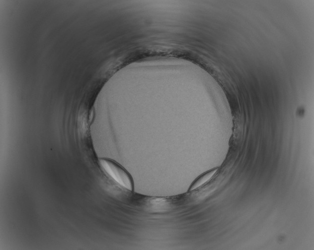 X0000116870287201001191729