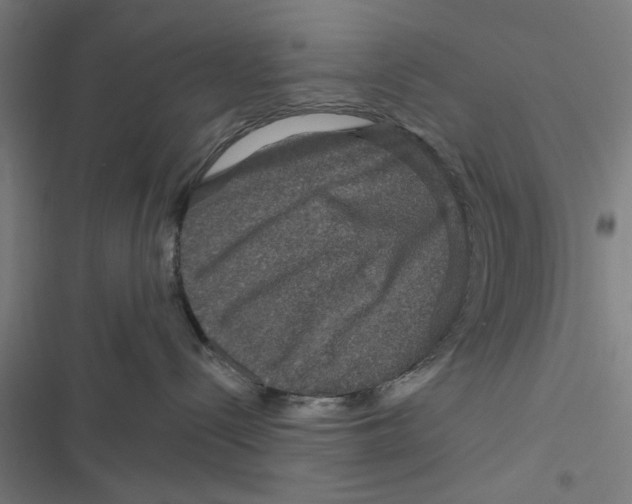 X0000116870288201001191729