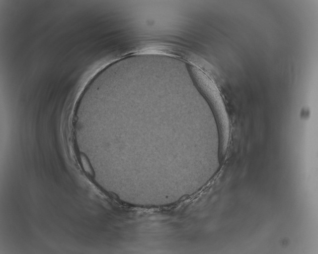 X0000116870289201001191729