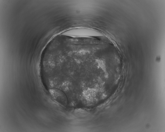 X0000116870290201001191729