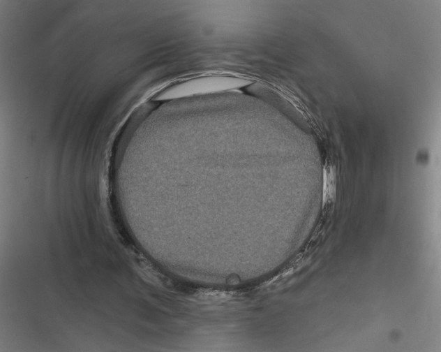 X0000116870291201001191729