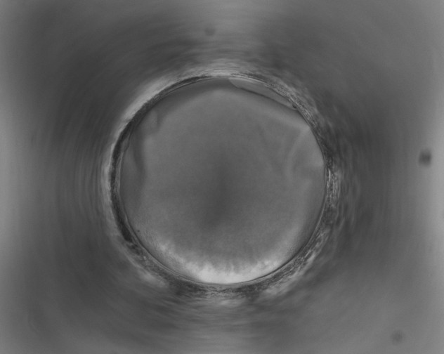 X0000116870292201001191729