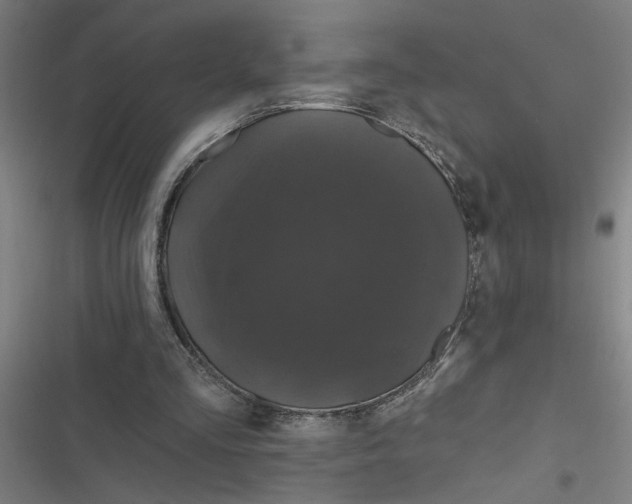 X0000116870293201001191729