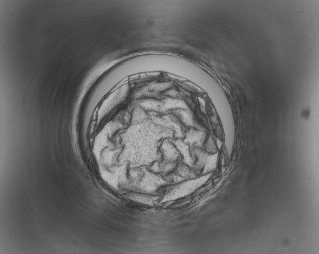 X0000116870294201001191729
