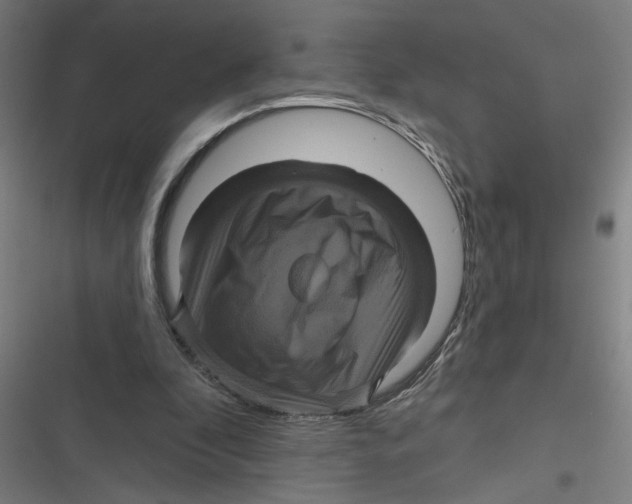 X0000116870296201001191729