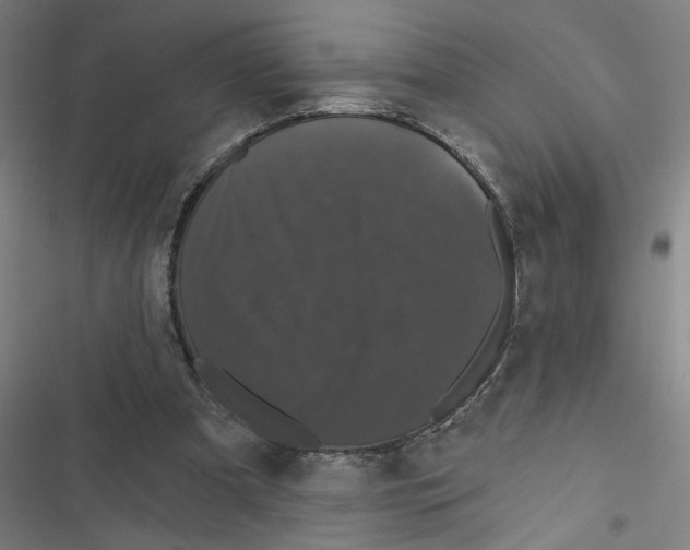 X0000116870297201001191729
