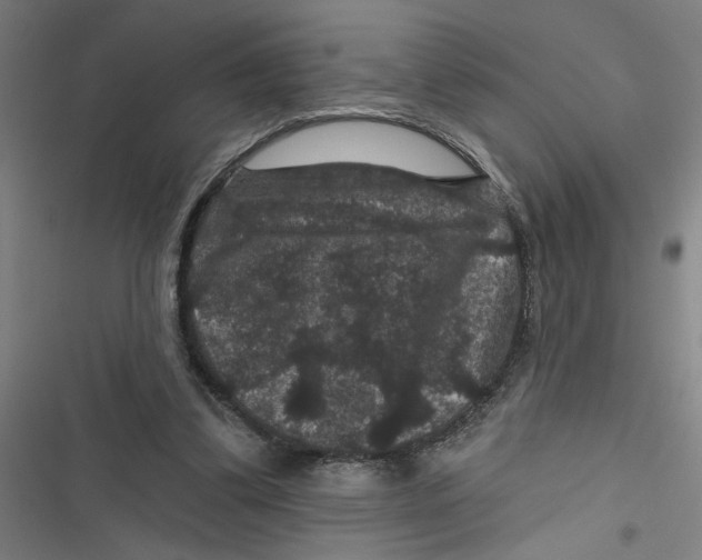 X0000116870299201001191728