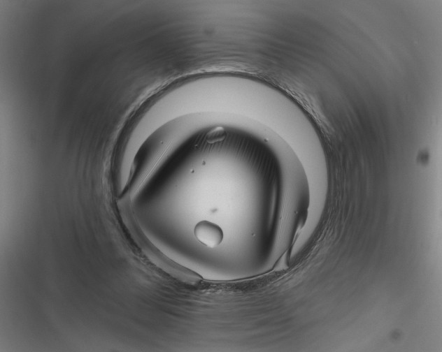 X0000116870300201001191728