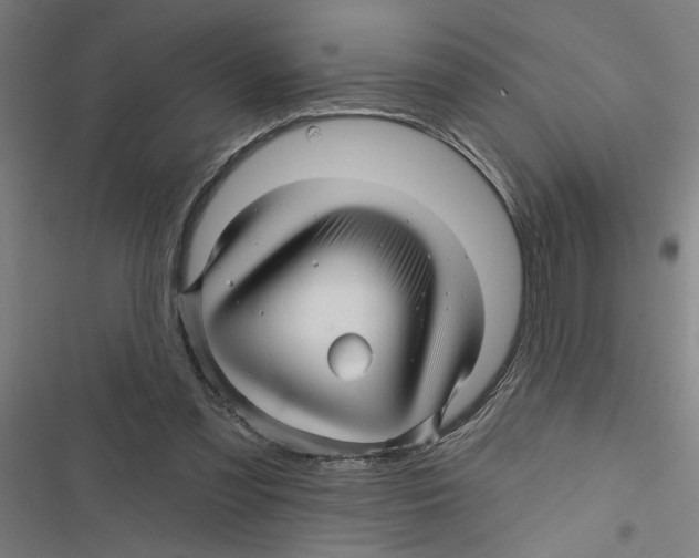 X0000116870301201001191728