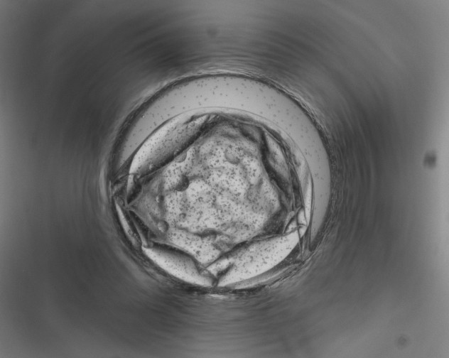 X0000116870302201001191728