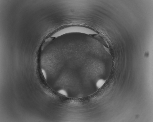 X0000116870303201001191728
