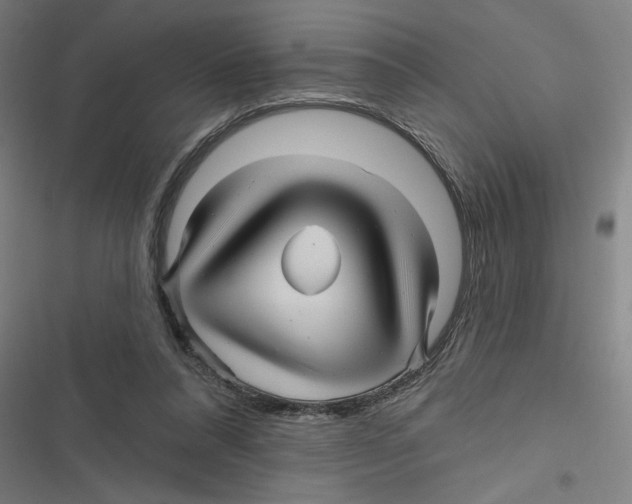 X0000116870304201001191728