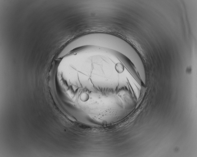 X0000116870305201001191728