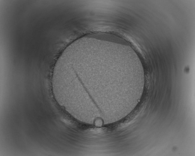 X0000116870307201001191728