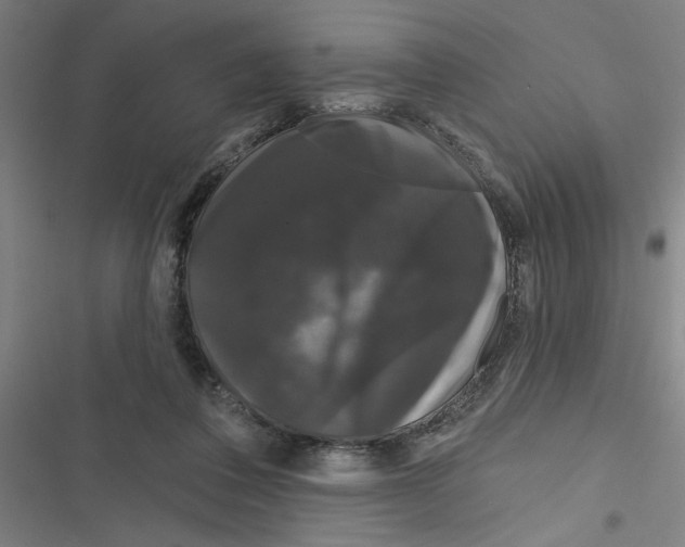 X0000116870308201001191728