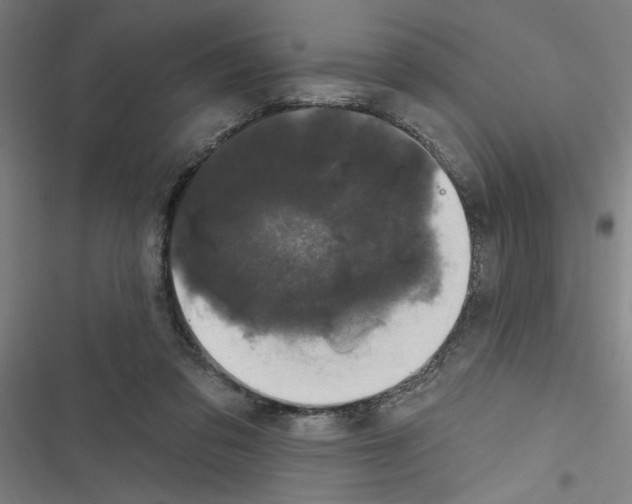 X0000116870309201001191728