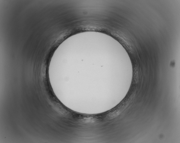 X0000116870310201001191728