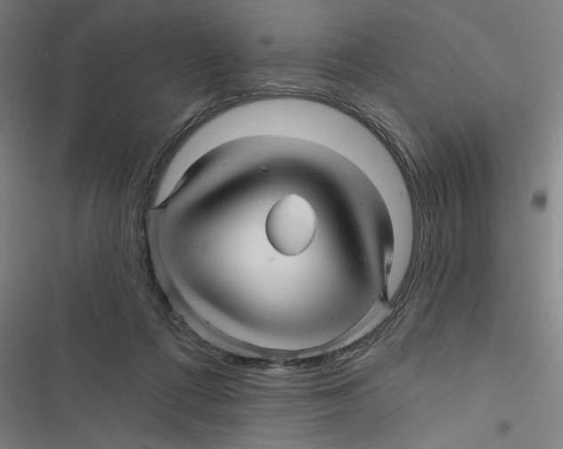 X0000116870312201001191728