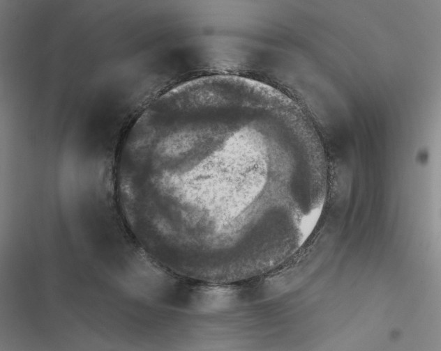 X0000116870313201001191728