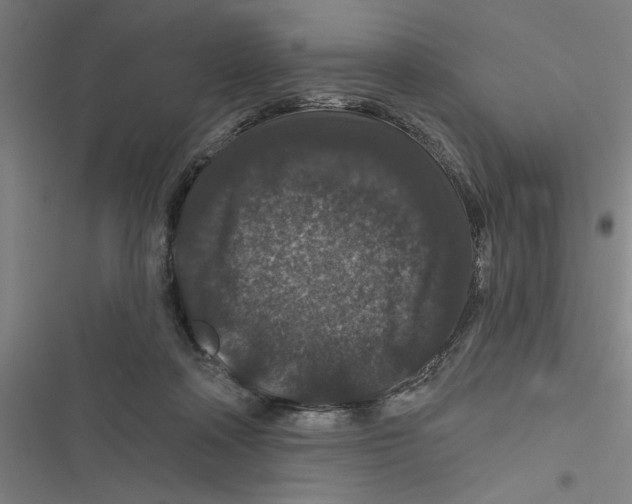 X0000116870314201001191728
