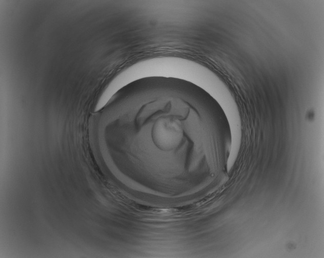 X0000116870316201001191728