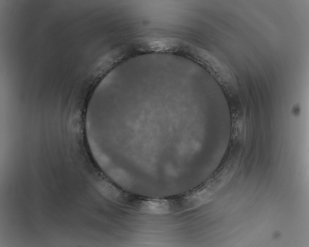 X0000116870317201001191728