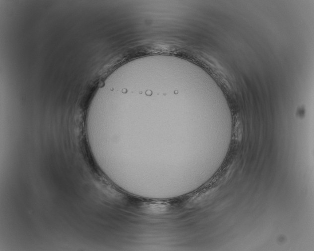 X0000116870318201001191728