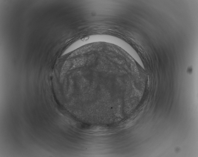 X0000116870319201001191728