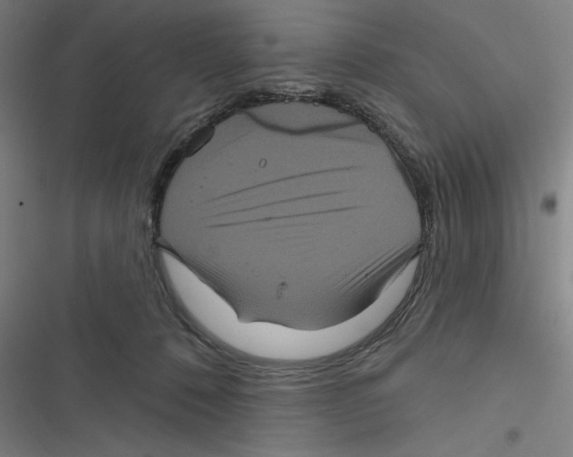 X0000116870320201001191728