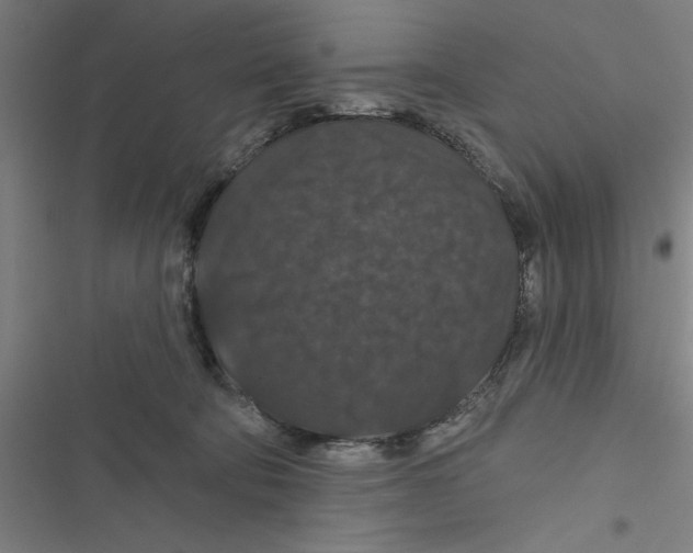 X0000116870322201001191728