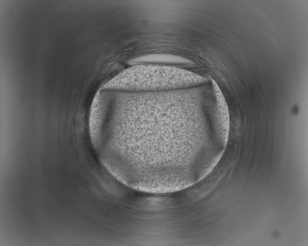 X0000116870323201001191728