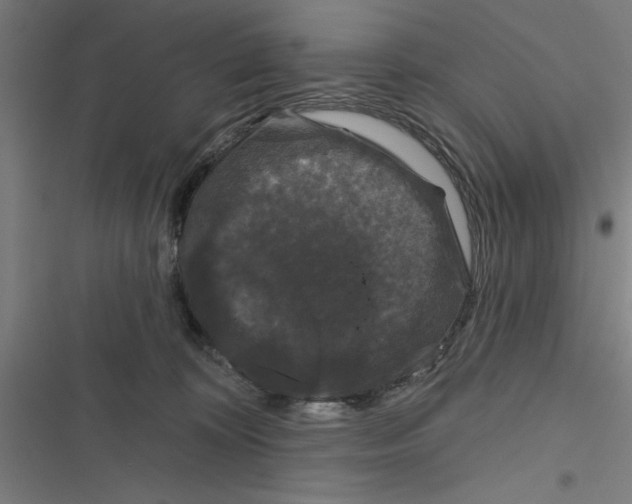 X0000116870324201001191728