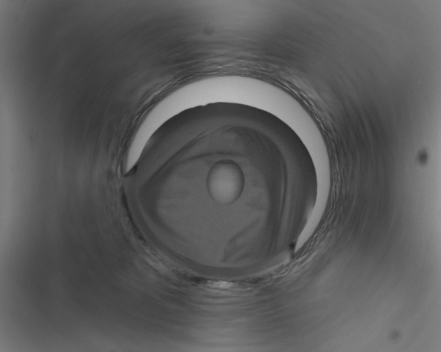 X0000116870325201001191728