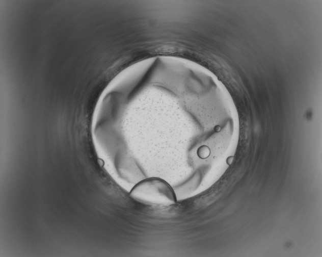 X0000116870326201001191728