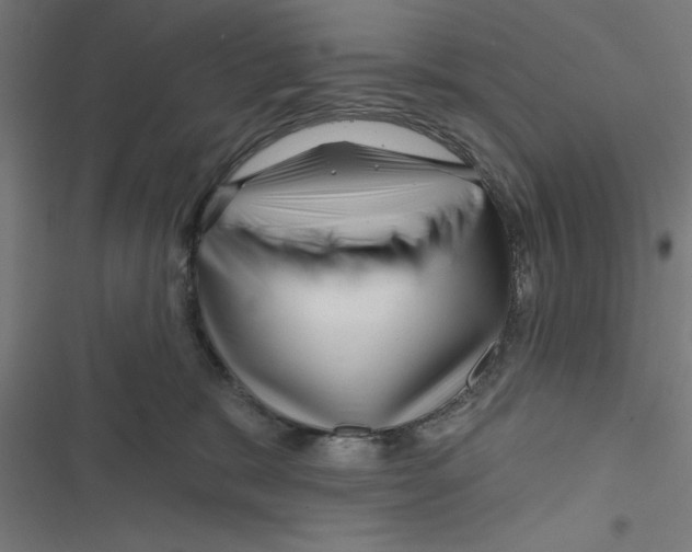 X0000116870327201001191728