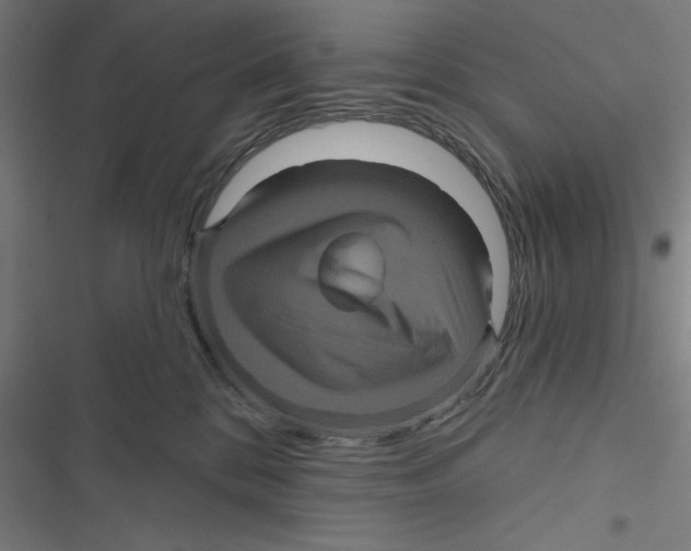 X0000116870328201001191728