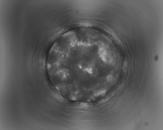 X0000116870330201001191728