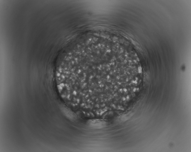 X0000116870331201001191728