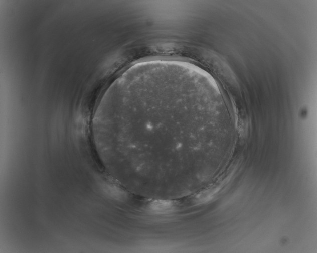 X0000116870332201001191728