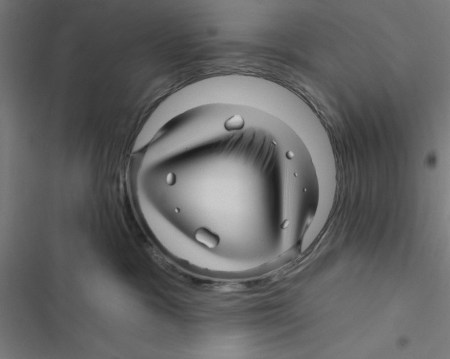X0000116870333201001191728