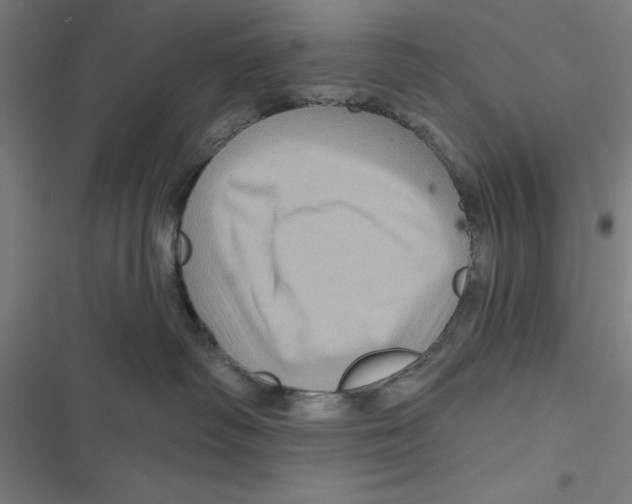 X0000116870334201001191728