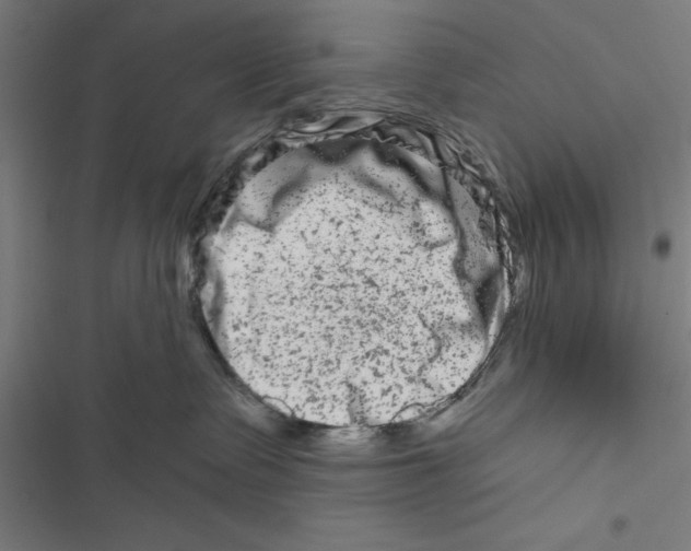 X0000116870335201001191728