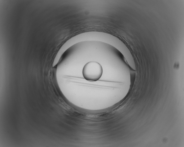 X0000116870336201001191728