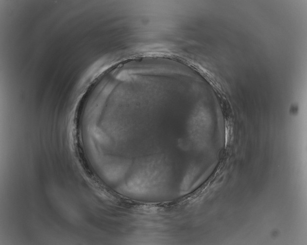 X0000116870339201001191727