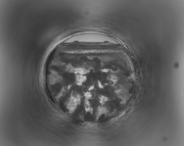 X0000116870343201001191727