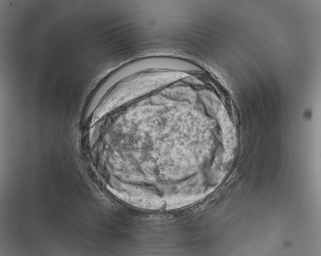 X0000116870345201001191727