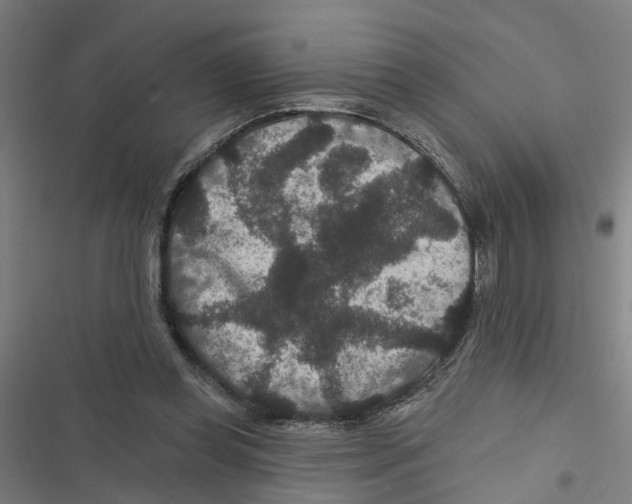 X0000116870349201001191728